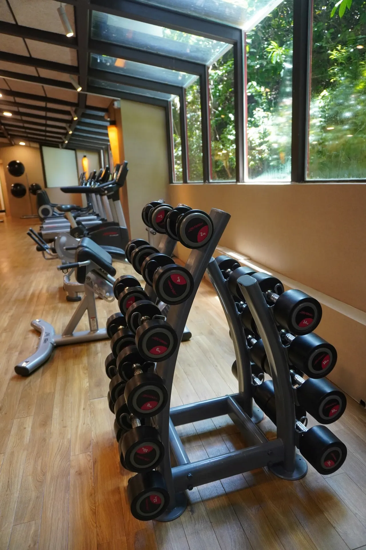 Studio — Sprung floor for mobility, yoga and HIIT